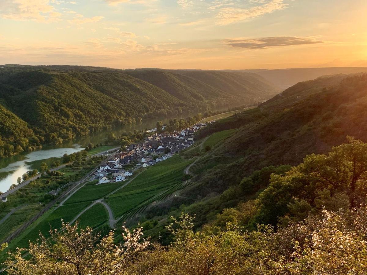 Ferienwohnung Am Bachlauf Pommern Exteriör bild